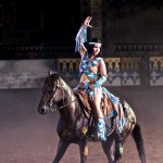 American Quarter Horse