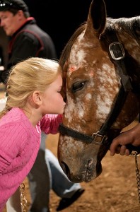 A child kisses a horse at the VIP Experience at Arabian Nights