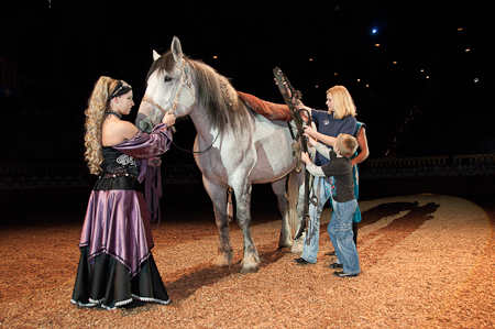 draft-horse-preparation-2